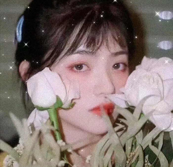 傻人救火